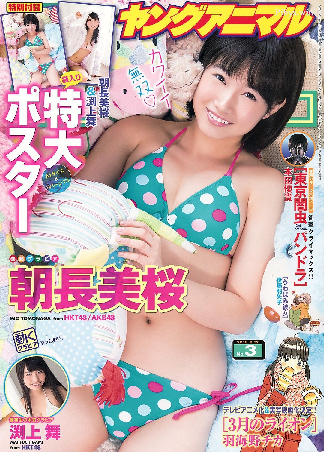 YA 2016 No.003