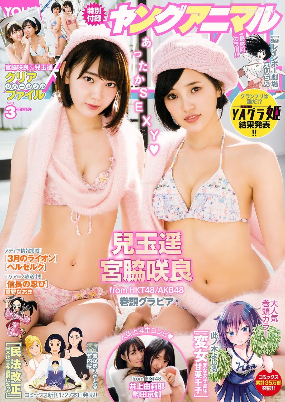 YA 2017 No.003